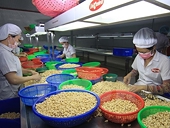 US-China trade war likely to hurt Vietnamese economy