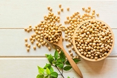Argentina imposes two day embargo on soy meal, soy oil exports