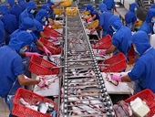 ​Tra fish exports to US enjoy strong surge