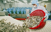 Vietnam shrimp exporters in tough situation because of SIMP