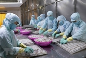 Yellow card warning affects Vietnamese seafood export to EU