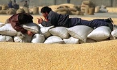 China's November grains imports fall amid rocky trade ties