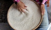 Cambodia prepared for EU rice tariffs: Ministry