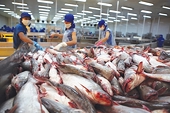 Vietnam's tra fish industry needs intensive development