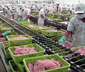 EC’s yellow card for Vietnam seafood remains in place