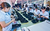 Chinese goods ‘borrow’ Vietnamese origin to go abroad
