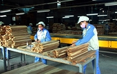 2018 a successful year for wood industry