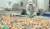 Vietnam targets $4.2b shrimp exports