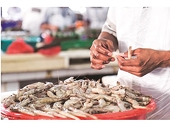 Insia: After the end of GSP, shrimp exporters apprehend new duty by America