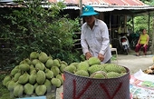 High potential for fruit, vegetable exports to China