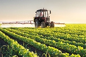 The Philippines to lose right to impose safeguard measures on imports of agri products