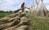 India may extend anti-dumping duty on jute bags from Bangladesh