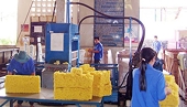 Vietnam rubber industry faces falling export price