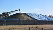 China hits Canada with canola bans