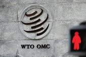 China suspends WTO case to ease trade friction: analyst