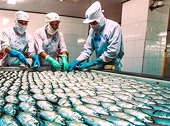 Seafood exports forecast to reach US$9 billion in 2019