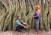 India to keep sugar export subsidies despite rival producers' complain to WTO