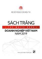The White Book on Vietnamese Businesses 2019