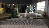 Vietnam’s mattress star rising rapidly as Chinese imports wane