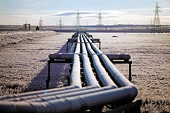 U.S. to slap up to 39 pct tariffs on S. Korean oil pipeline