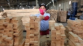 Vietnam strengthens crackdowns on goods forging Vietnamese origin
