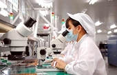 Japan – one of four largest importers of Vietnam 