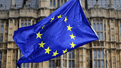 Statistics of anti-dumping, anti-subsidy and safeguard investigations conducted by the EU in 2008