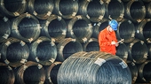 US government to investigate if Chinese steel is evading tariffs