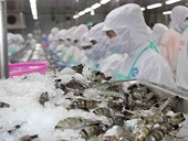 Shrimp exports recover in July