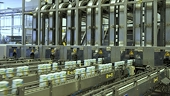 Vietnam to benefit from global trends towards trade surplus