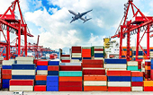 WTO appeals panel rules in favor of Korea over anti-dumping spat with Japan