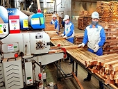 Vietnam’s wood industry struggle to prevent trade fraud