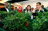 Malaysia postpones lodging complaint to WTO on biofuel policy