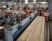 Vietnam: Temporary suspension of import and re-export of plywood to the US