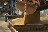 China to extend anti-dumping probe into Australian barley by six months - commerce ministry