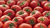 The US will impose anti-dumping fees on Mexican tomatoes starting December