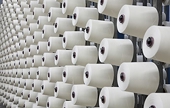 US rules China and India have dumped polyester yarn