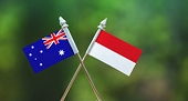 Indonesia wins trade dispute against Australia