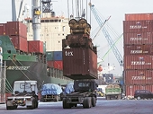 India: Facing regulations, marine exports expected to remain sluggish: Report