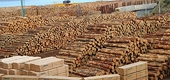 Wood exports to hit 11.5 billion USD, exceeding target in 2019