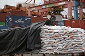 Vietnam exports likely to keep overperforming: Report