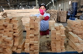 VN wood products must focus on designs, branding, industry insiders say