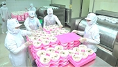 Processing industry lures FDI capital