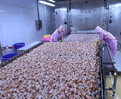 Gov’t to issue lists of preferential tariffs under EVFTA