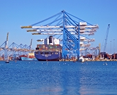Australia’s anti-dumping excuse against Indonesia is paper-thin, says WTO
