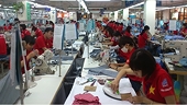 Enterprises need to stand ready to benefit from EVFTA