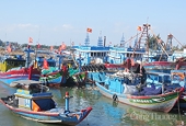 Vietnamese seafood exporters not too worried about COVID-19