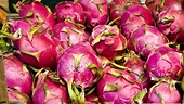 Vietnamese Watermelon and Dragon Fruit Exports Face New Challenges