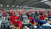 What Vietnam expect to export in coming months