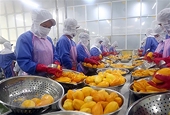 COVID-19 pandemic brings crisis and opportunity: experts